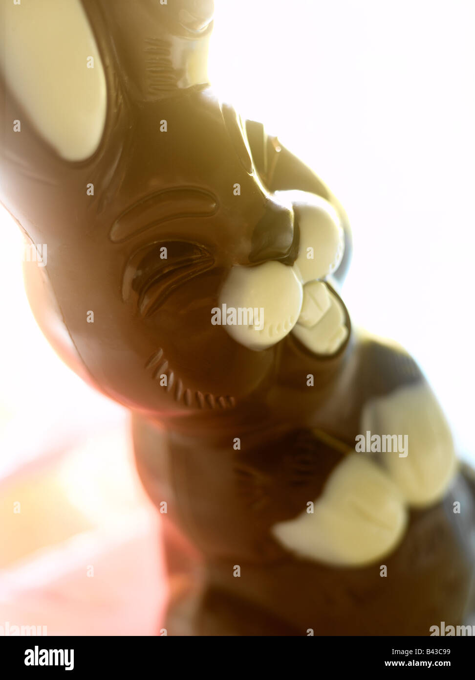 Chocolate Easter bunny Stock Photo