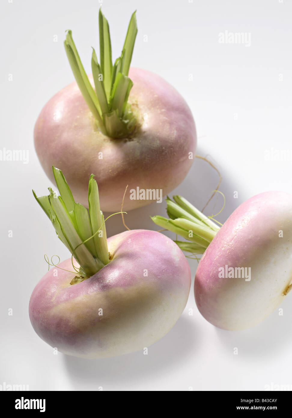 Three turnips hires stock photography and images Alamy