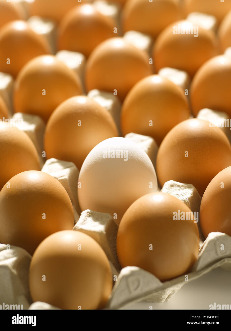 Tray of eggs Stock Photo Alamy