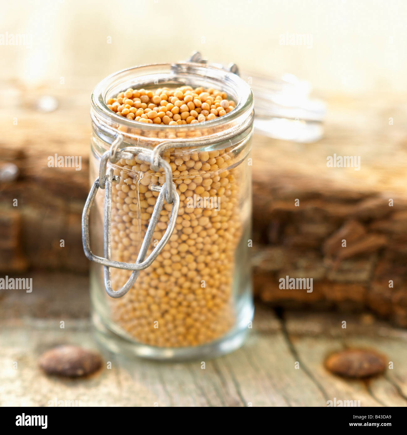 Small glass jar of mustard seeds Stock Photo Alamy