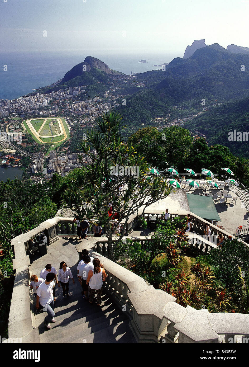 Ammonius High Resolution Stock Photography And Images Alamy