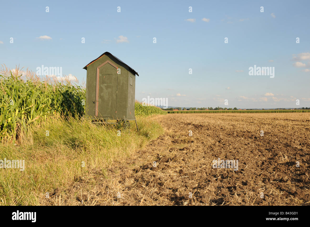 Small movable shed on a balk between a maize field and ploughed land. Stock Photo