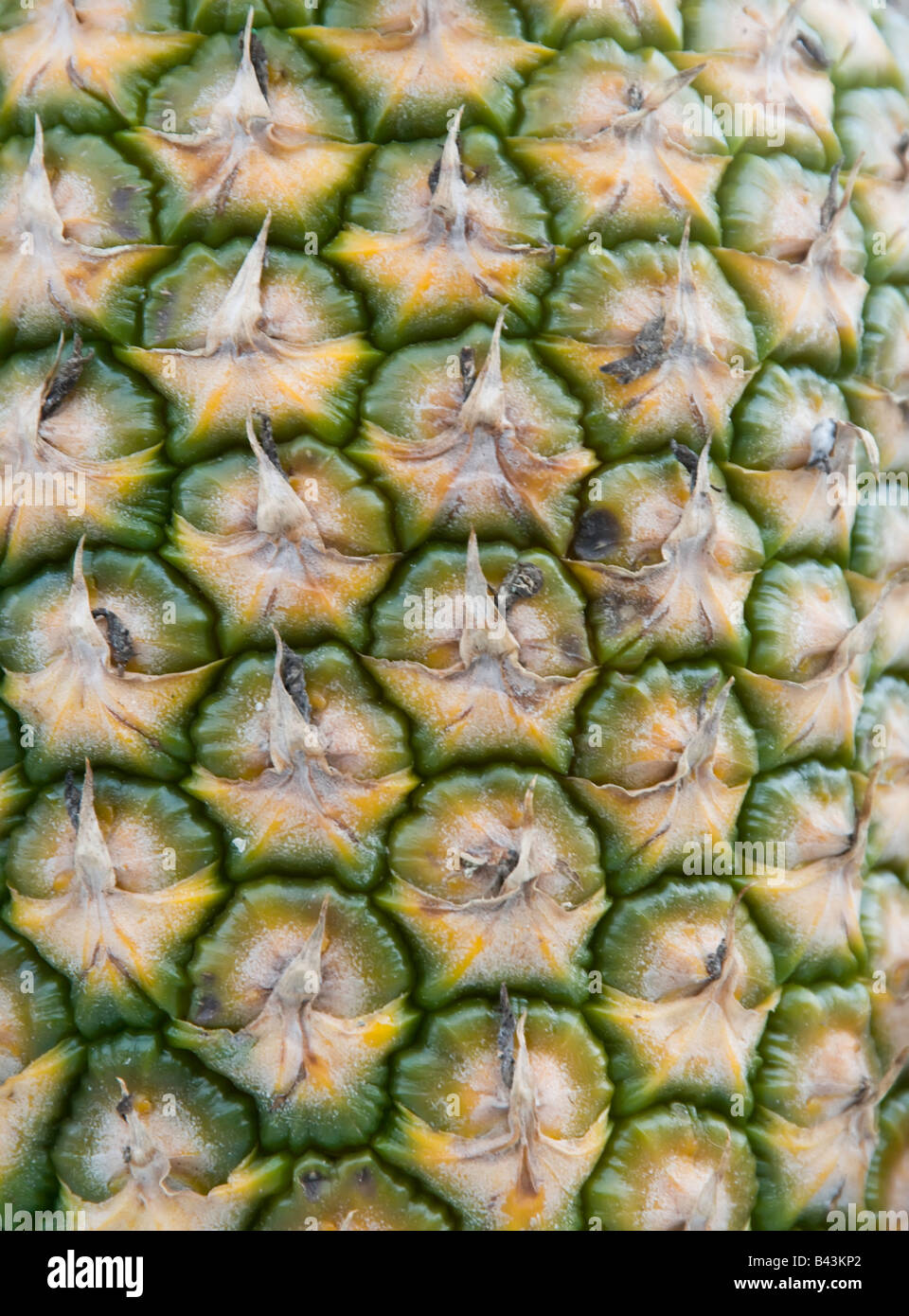 Full-frame close-up of pineapple rind Stock Photo - Alamy
