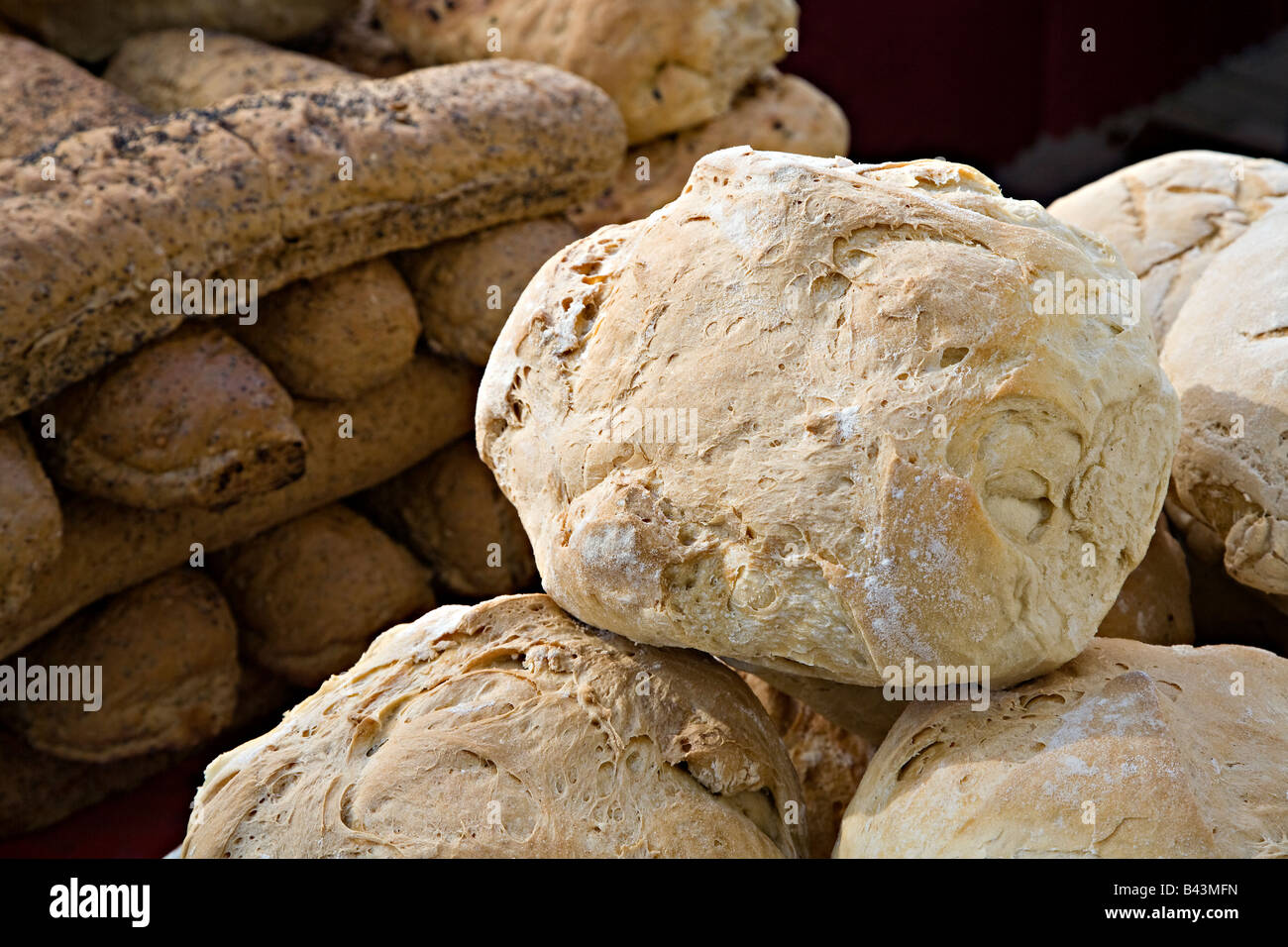 Fresh baked white crusty loaf of bread at farmers market UK Stock Photo