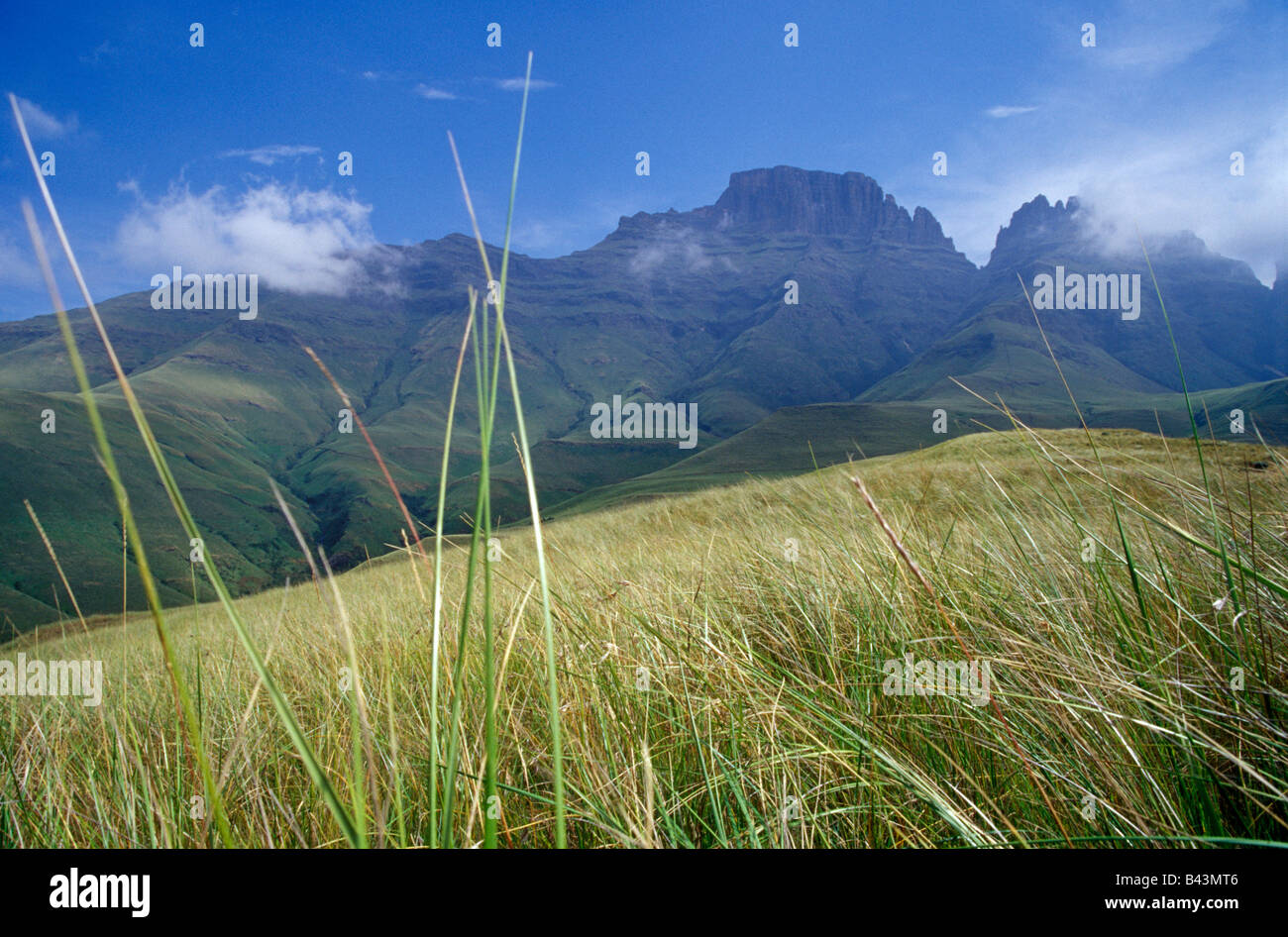 Drakensberg, Dragon mountains landscape in South Africa Stock Photo - Alamy