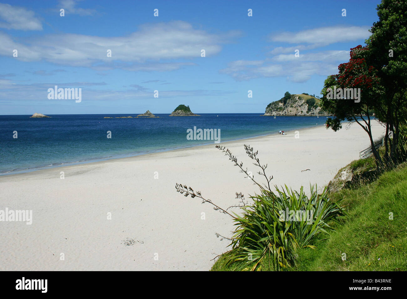 New Zealand beach at Hahei Stock Photo Alamy