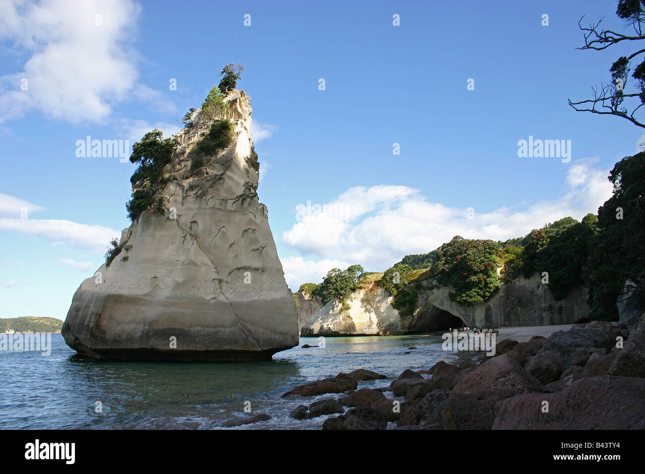 New Zealand Coromandel Peninsula Stock Photo Alamy