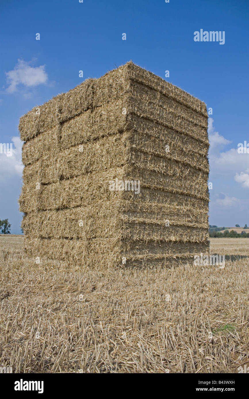 Large bales of straw stacked in field Stock Photo Alamy