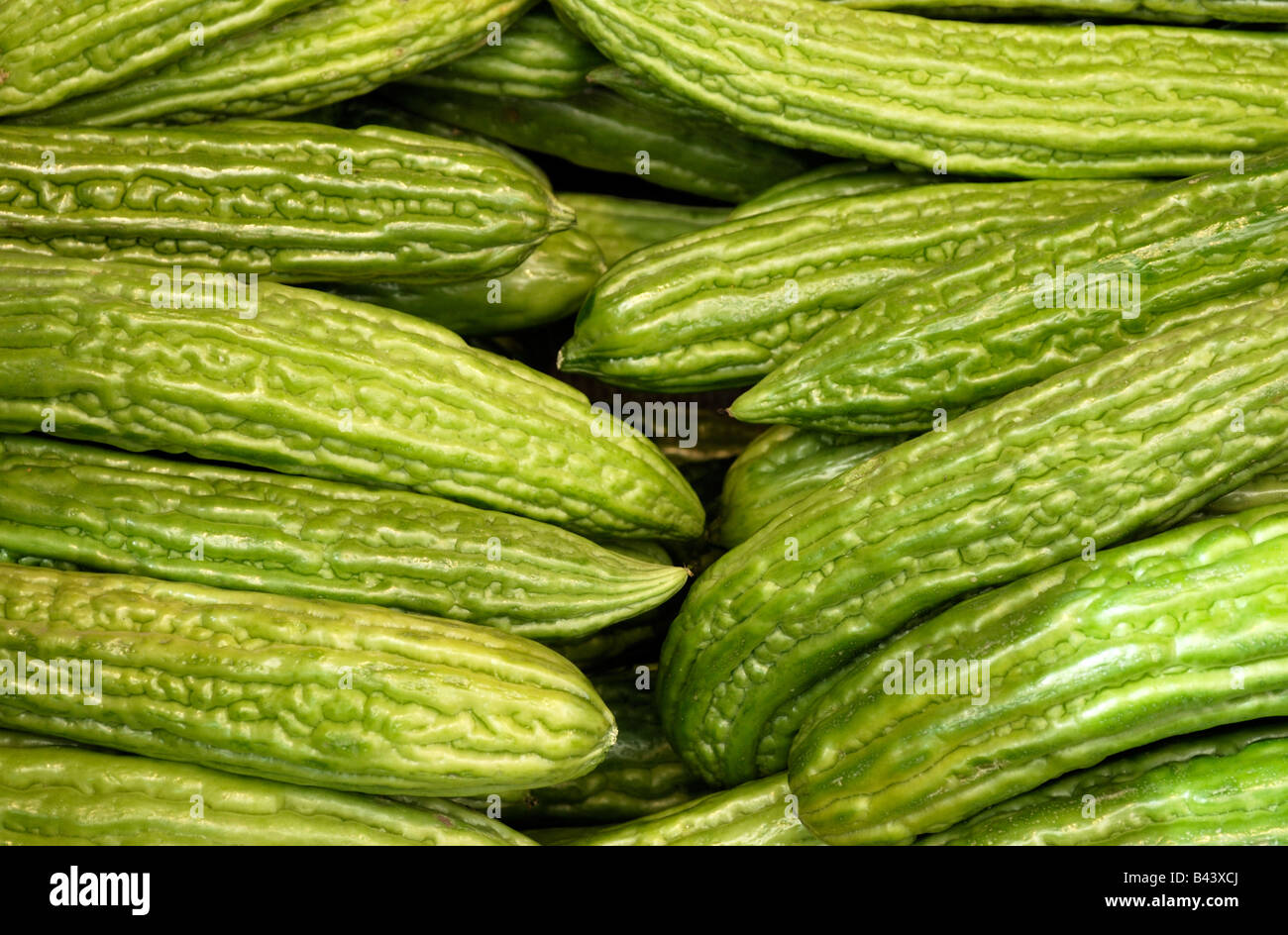 Chinese bitter melons on sale in a street market in Chinatown in New