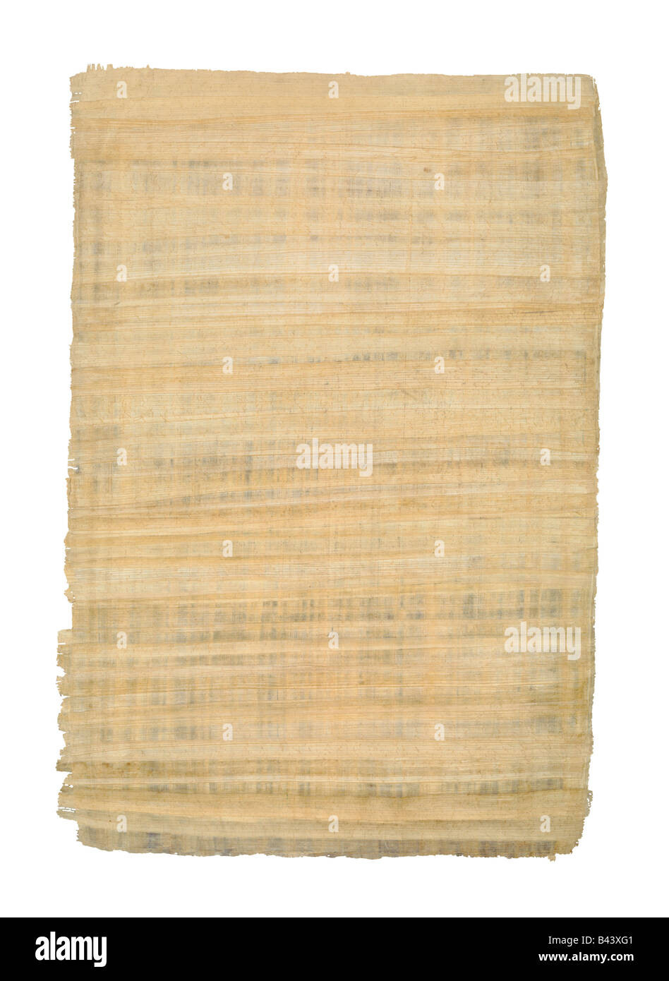 Papyrus High Resolution Stock Photography And Images Alamy