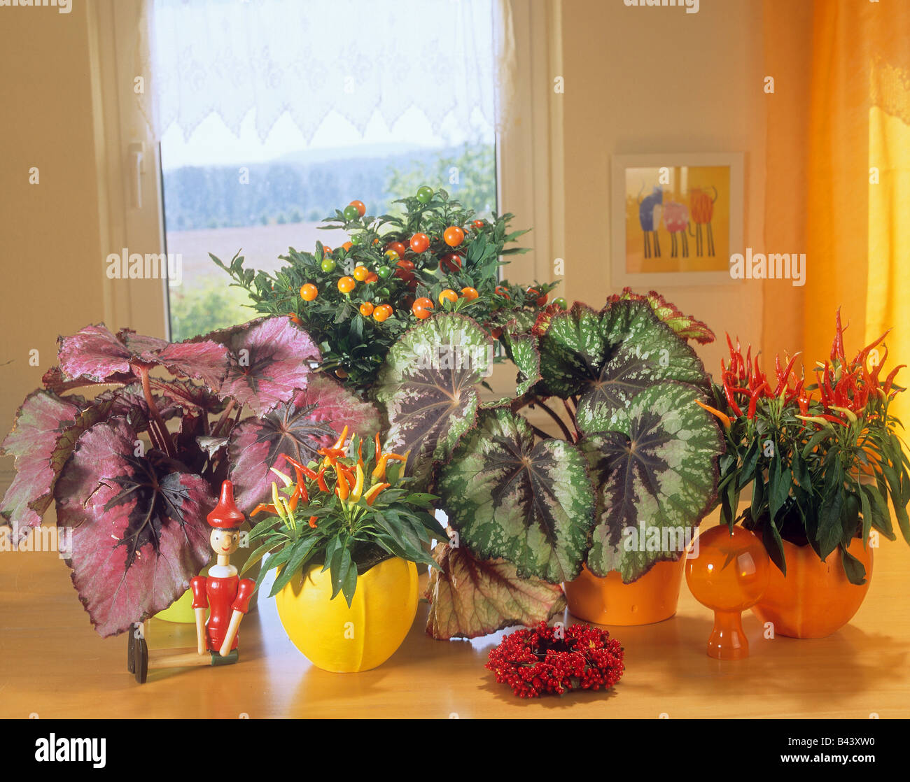 different plants at the window Stock Photo