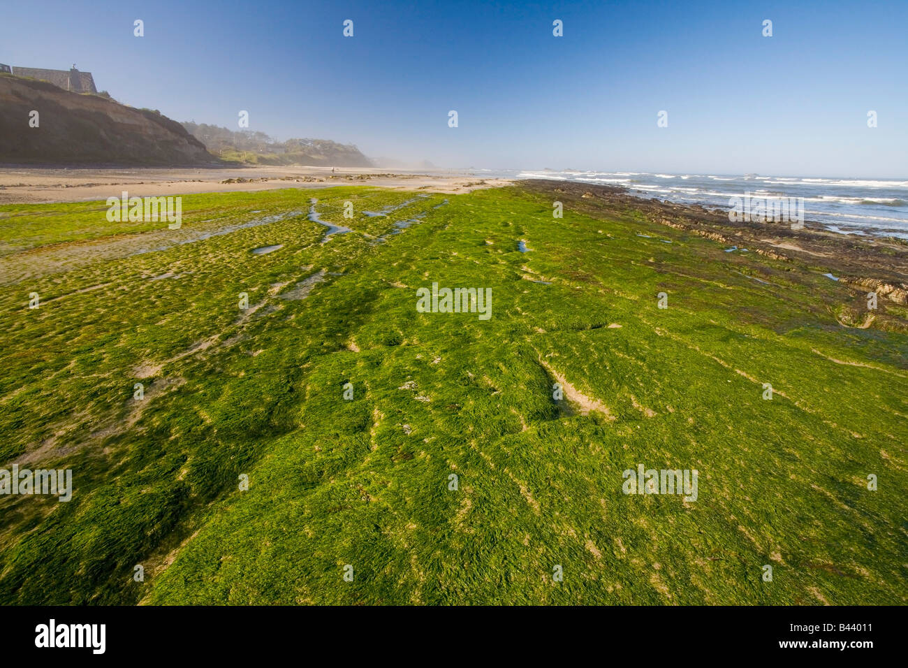 Seal Rock State Park, Oregon, USA Stock Photo Alamy