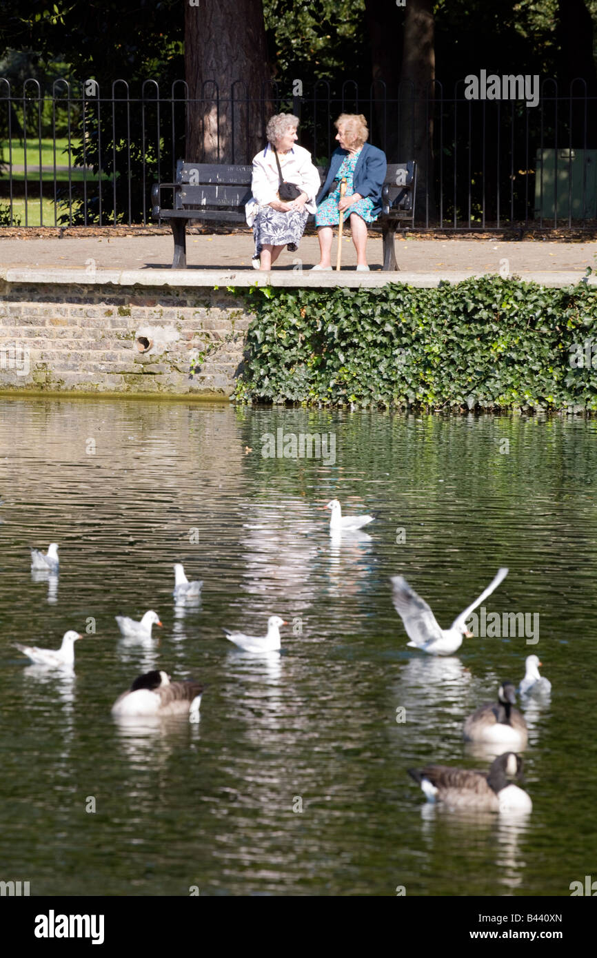 Two elderly ladies talk on a park bench with geese and gulls on a pond