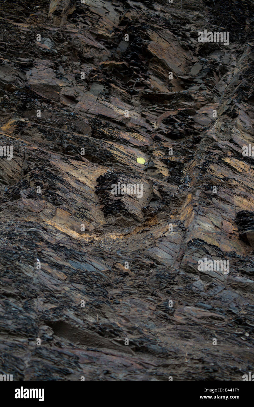 shale rock wall Stock Photo