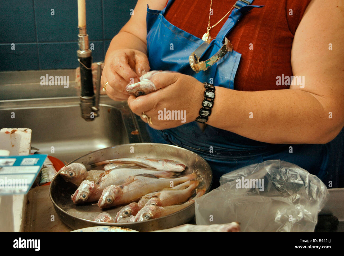 Ladyfish hi-res stock photography and images - Alamy
