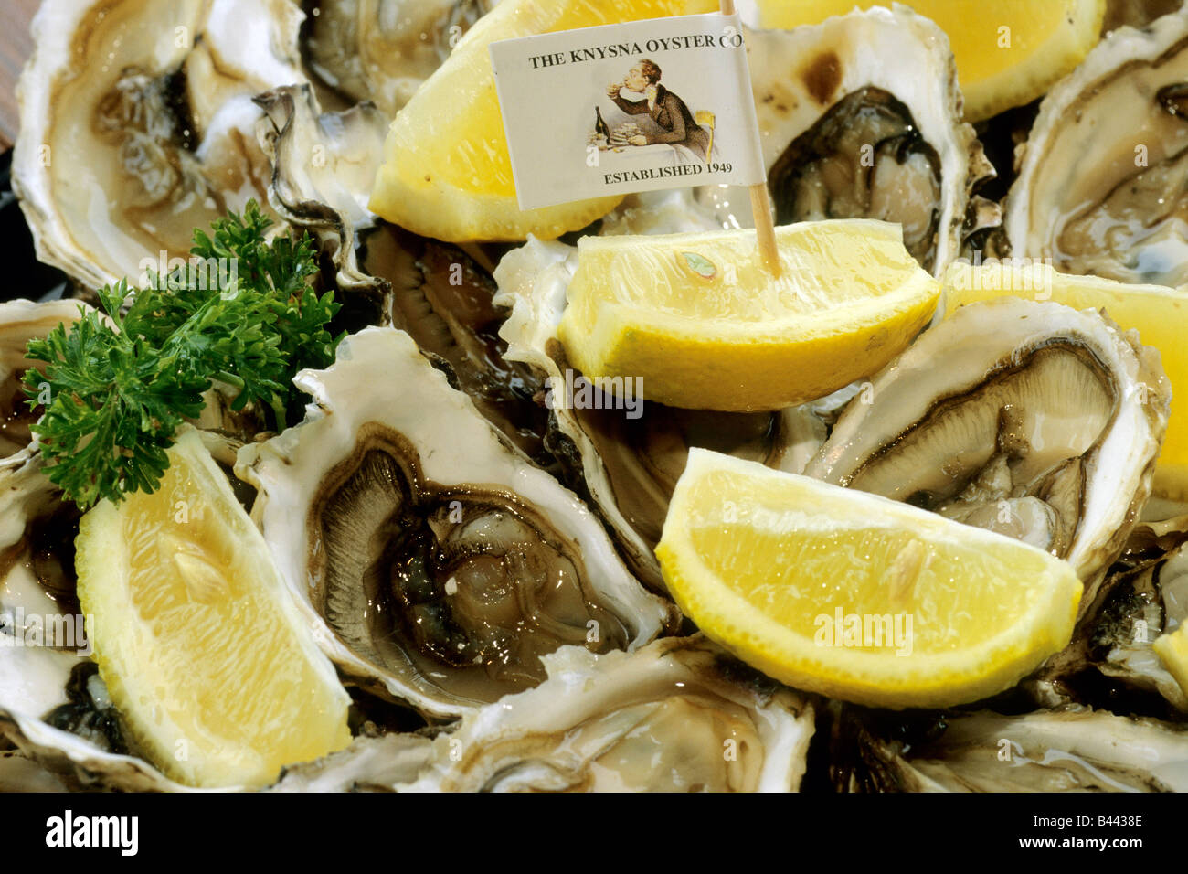 Pacific Oysters (Crassostrea gigas), a high priced delicacy Stock Photo