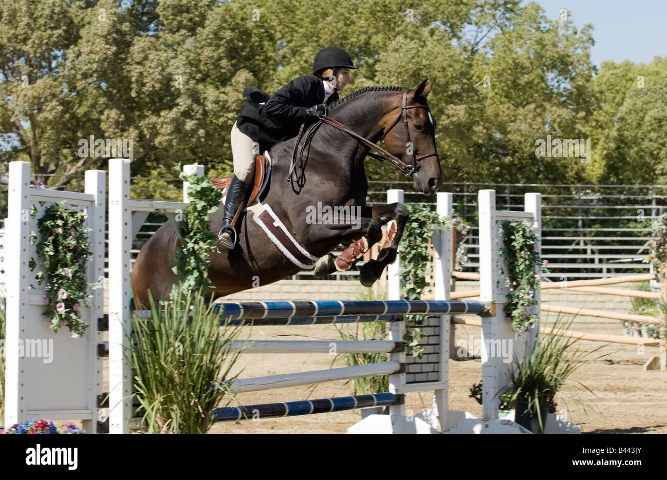 Horse and rider clearing a fence at a show jumping event Stock Photo ...