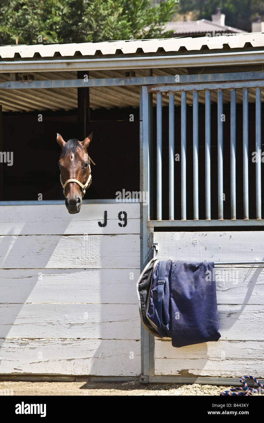 Horse stalls and horse at Del Mar Horsepark in Del Mar CA US Stock