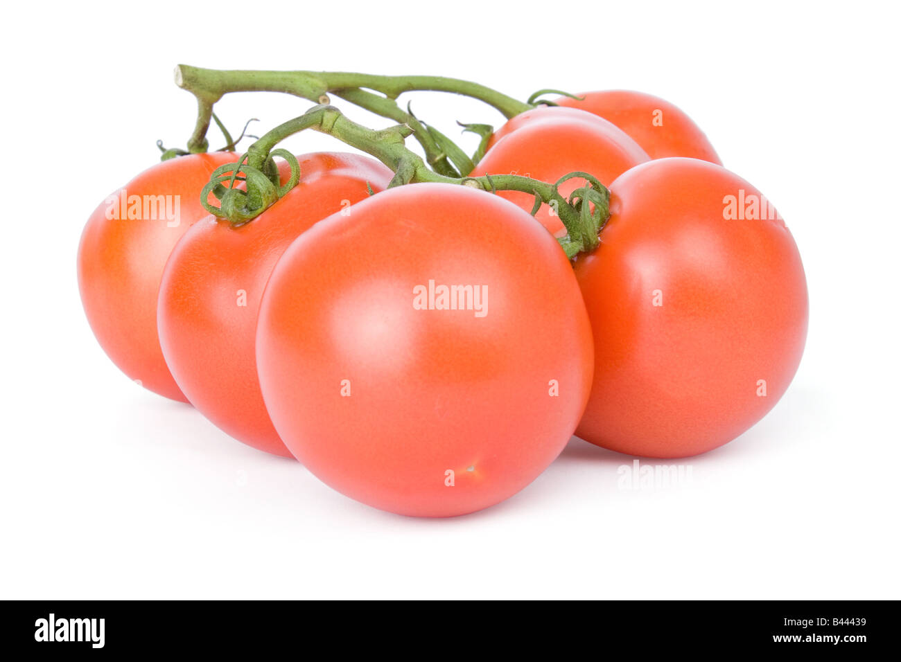Ripe tomatoes isolated on a white background Stock Photo - Alamy