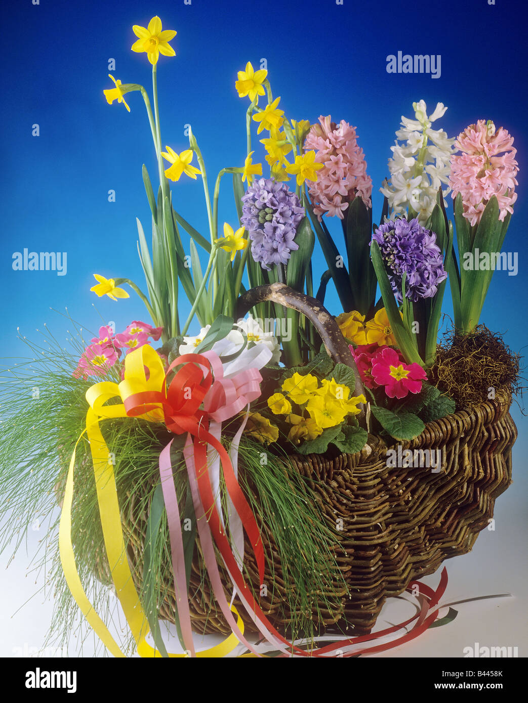 different flowers in basket Stock Photo