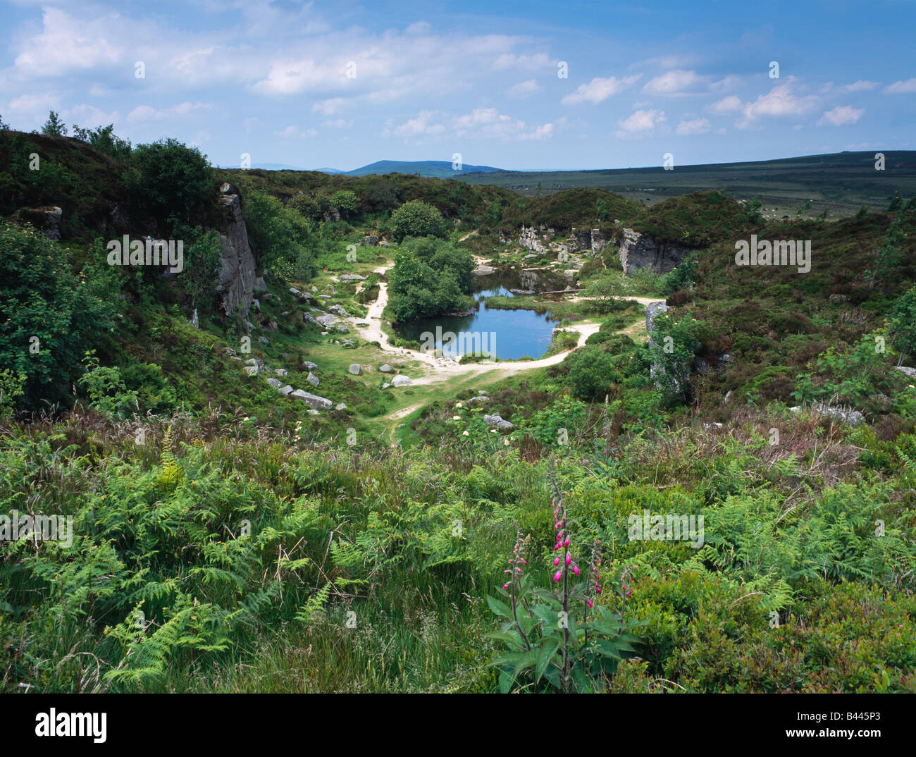 Haytor Quarry in Dartmoor National Park near Bovey Tracey, Devon ...