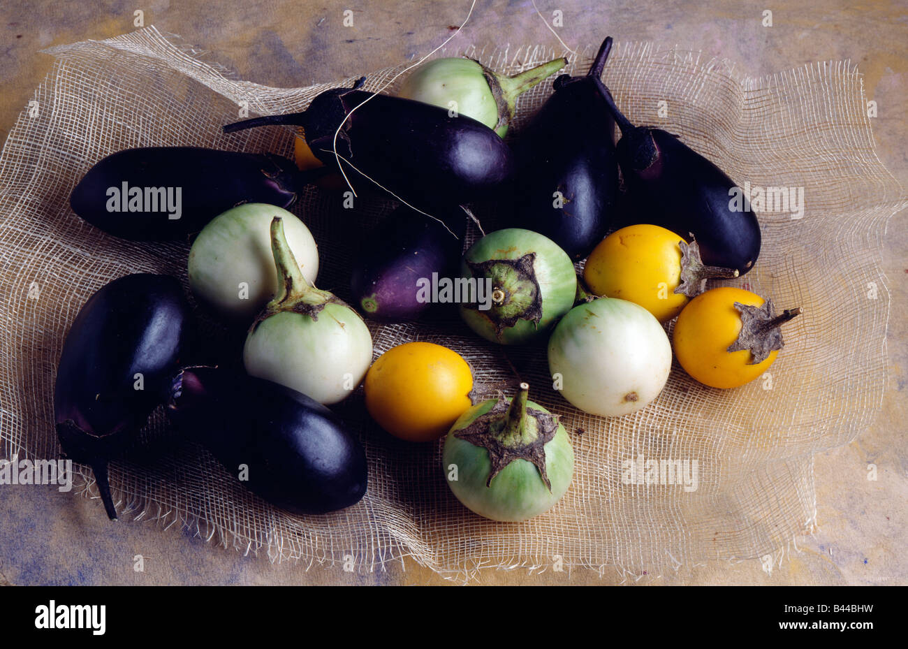 Selection of eggplants Stock Photo