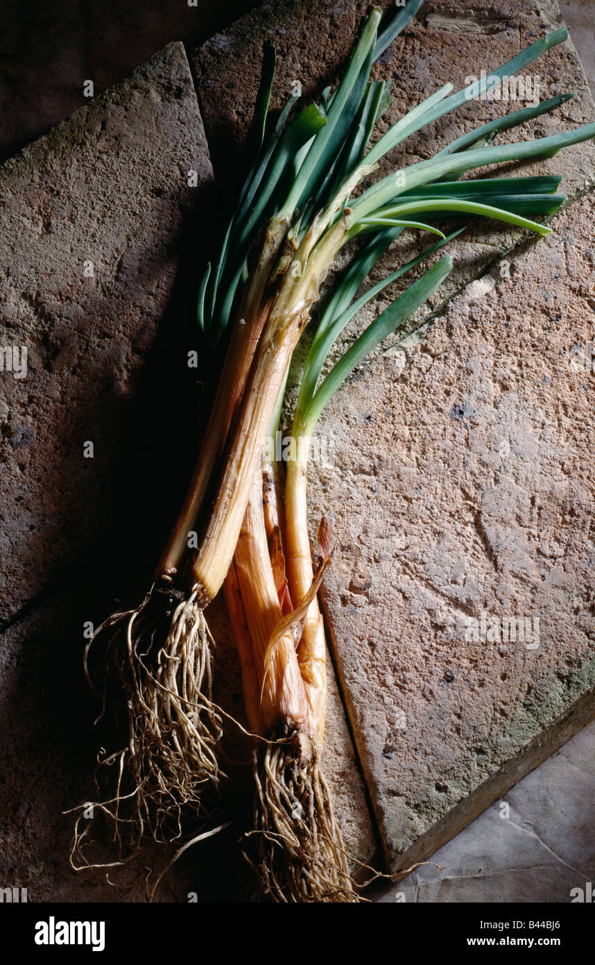 Fresh shallots Stock Photo Alamy