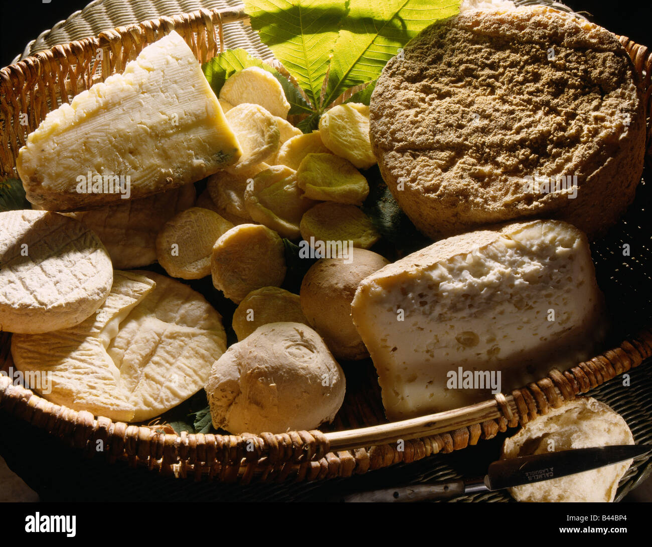 Selection Of Cheeses Stock Photo - Alamy