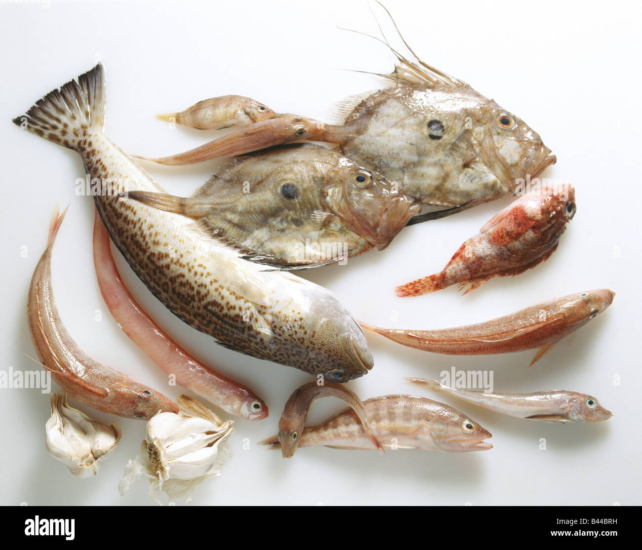Raw Saint Pierre,scorpion fish and Grandin Stock Photo - Alamy