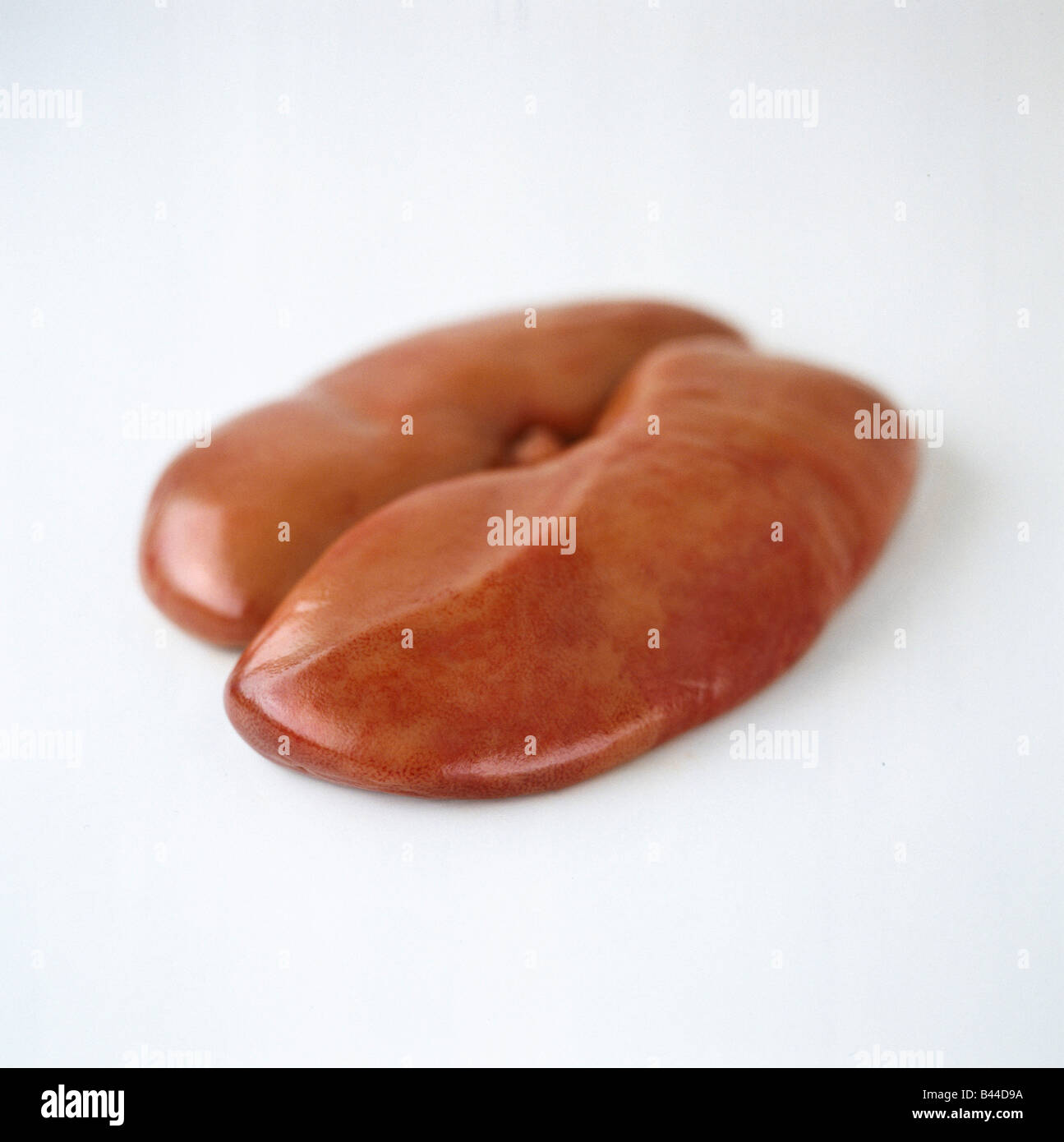 Raw pork kidneys Stock Photo Alamy