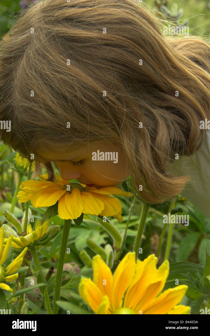 Little Girl Smelling a Flower Stock Photo - Alamy