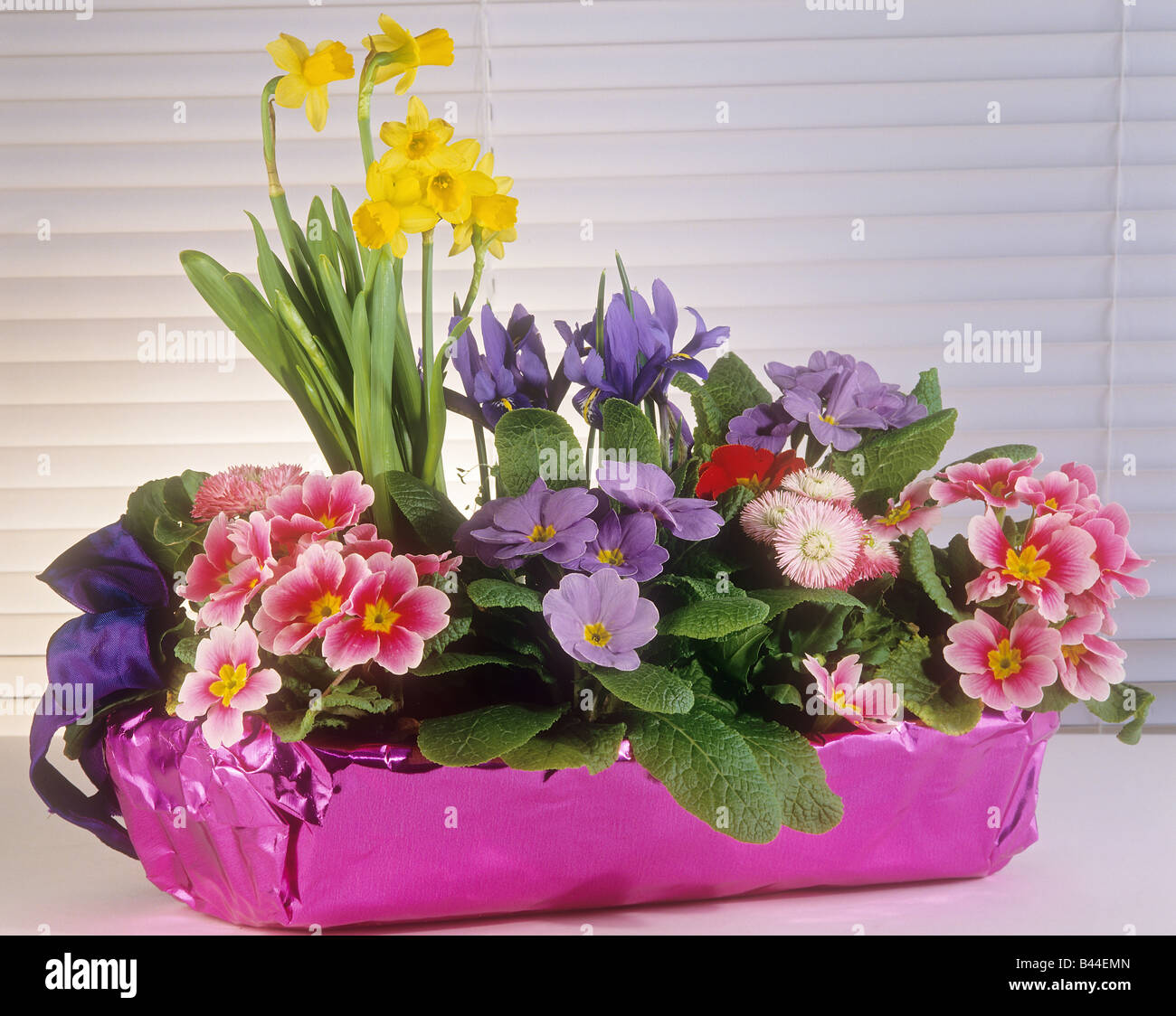 bowl with different flowers Stock Photo