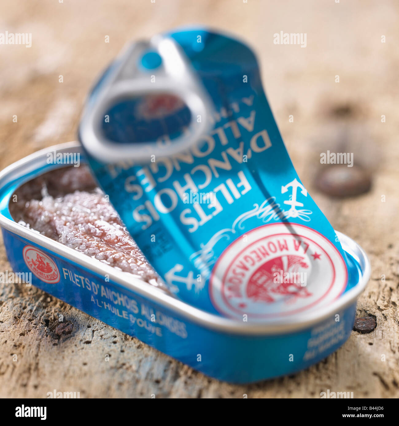 Can of anchovy fillets Stock Photo Alamy