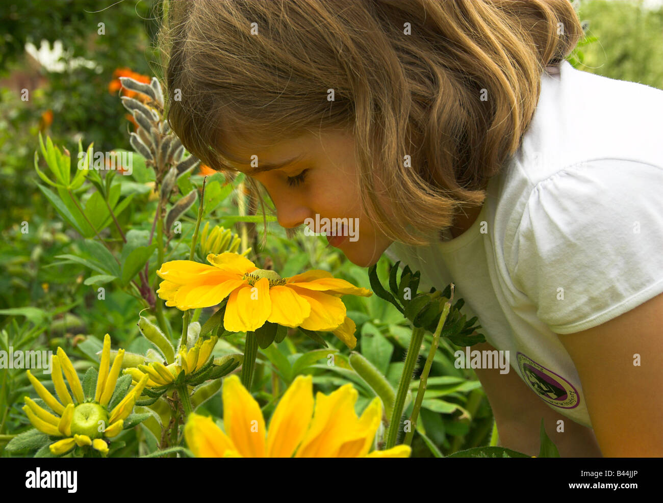 Little Girl Smelling a Flower Stock Photo - Alamy