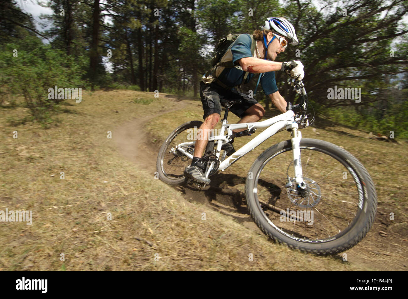 mountain biking in durango,colorado,usa Stock Photo Alamy