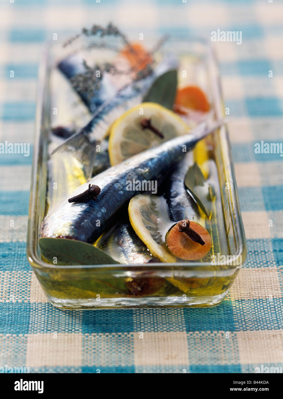 Sardines in oil Stock Photo Alamy