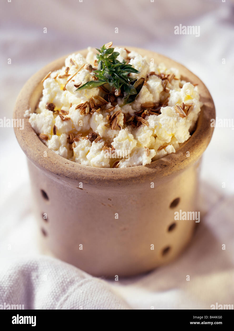 Ewe brousse cheese with herbs Stock Photo Alamy