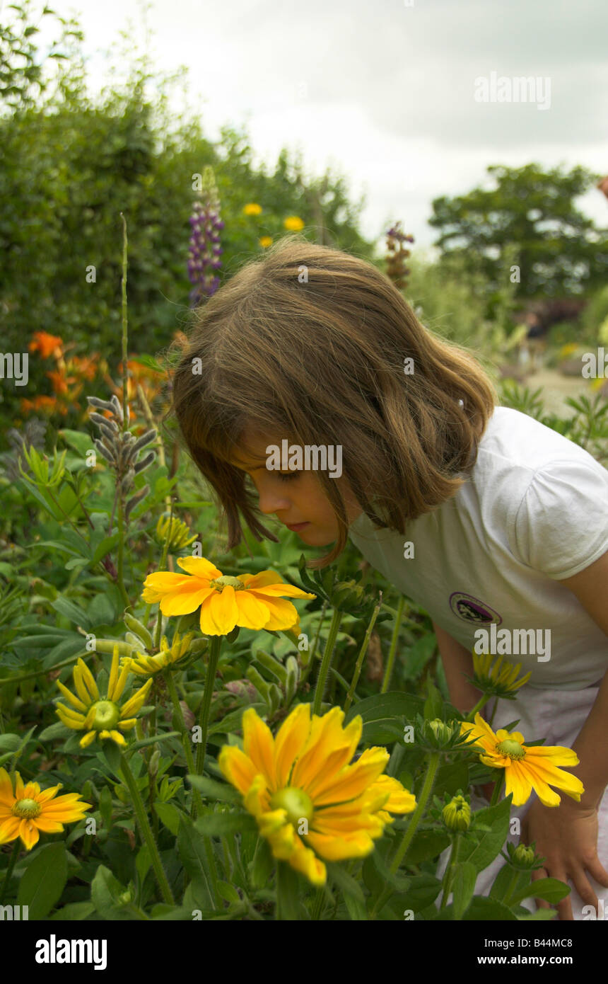Little Girl Smelling a Flower Stock Photo - Alamy