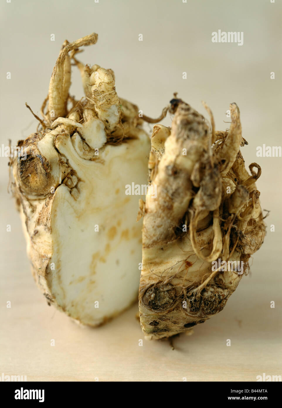 Root celery cut in half Stock Photo - Alamy
