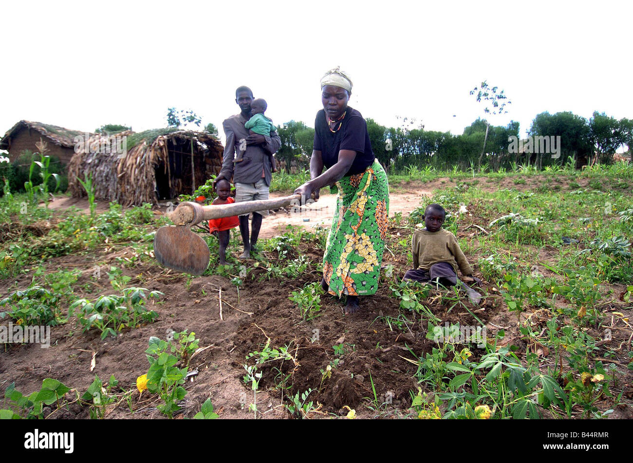 Village Of Hope Appeal In Rwanda December 2004 Daily Mirror Village Of ...