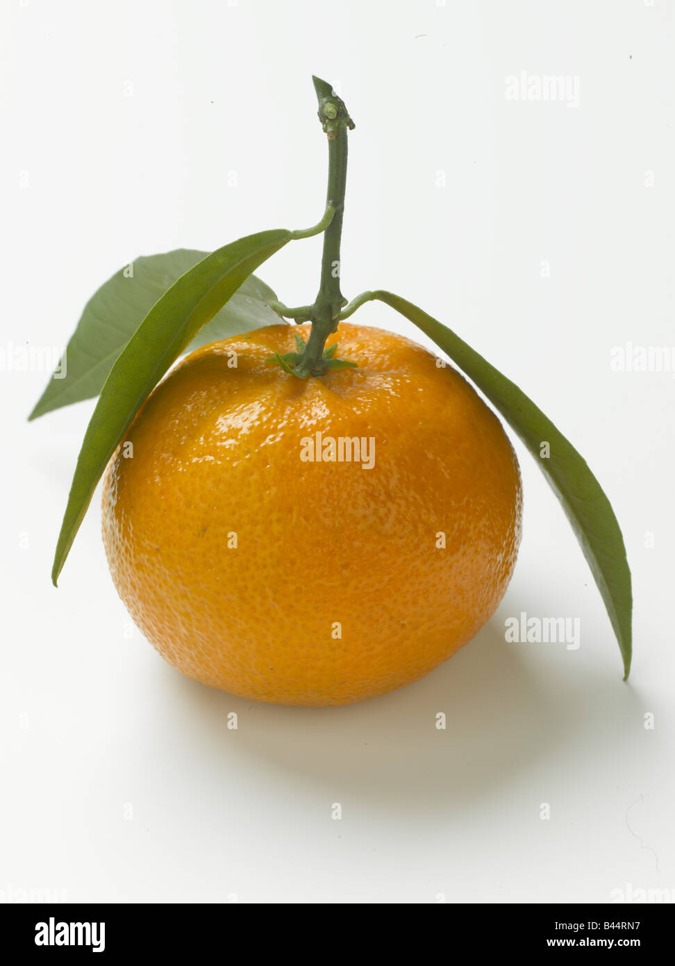 Clementine with leaves Stock Photo Alamy