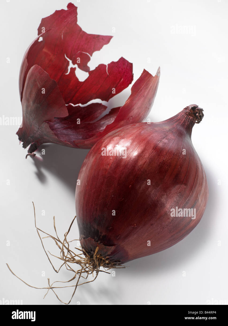 Red onion with peel Stock Photo Alamy