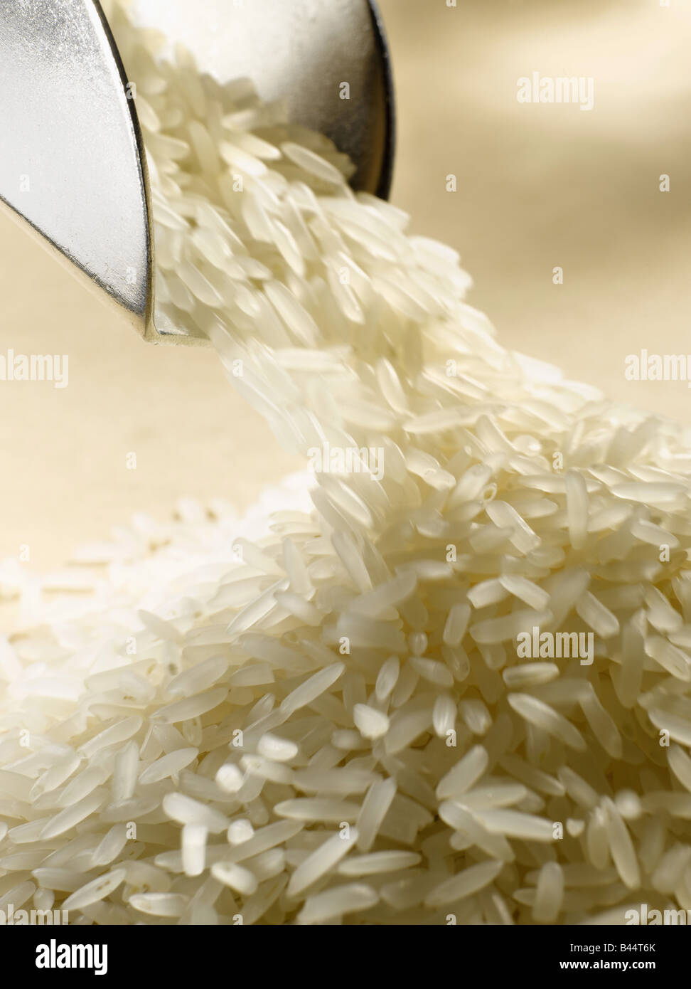 Thai white rice Stock Photo Alamy