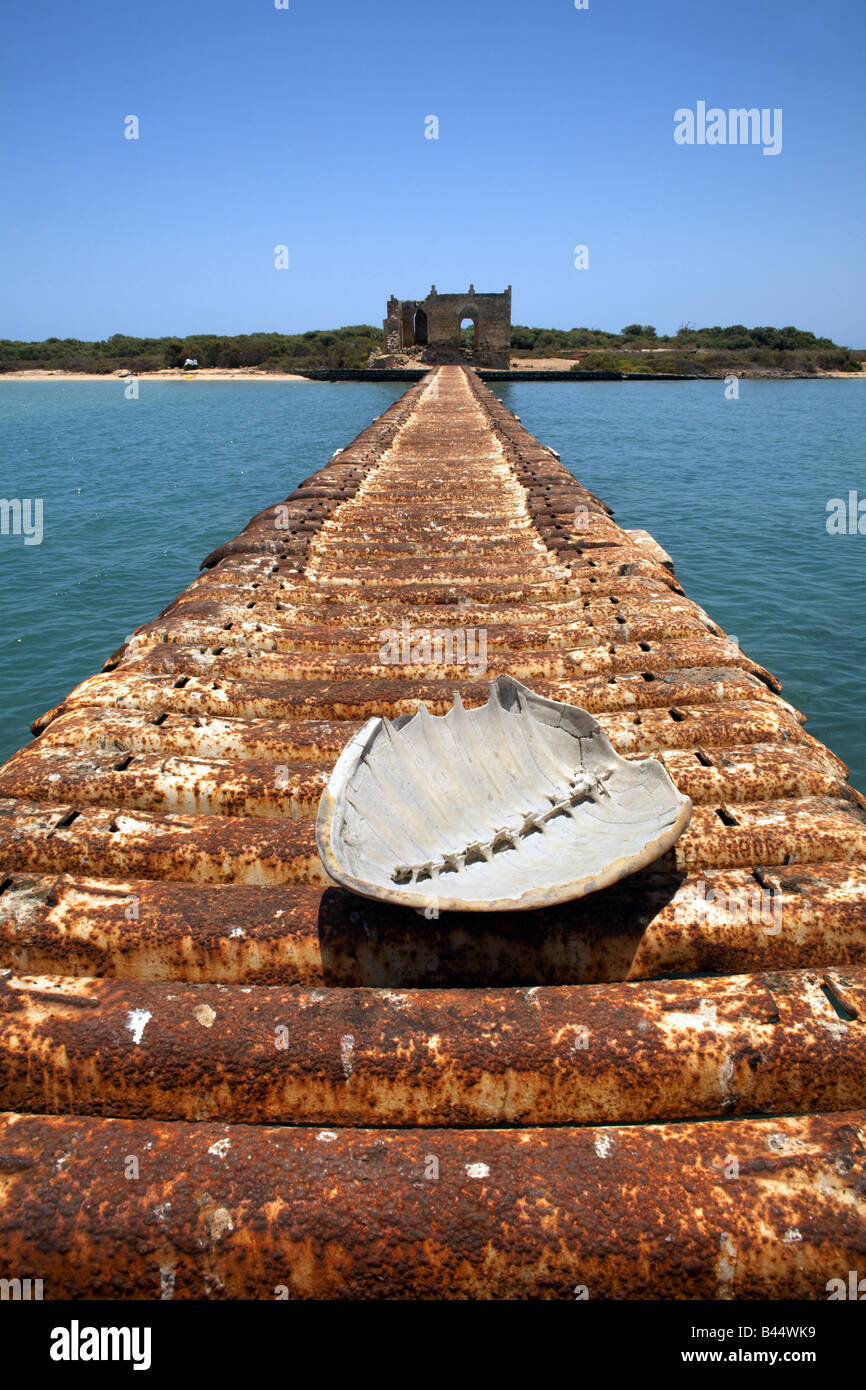 Turtle shell on a jetty, Massawa, Eritrea Stock Photo