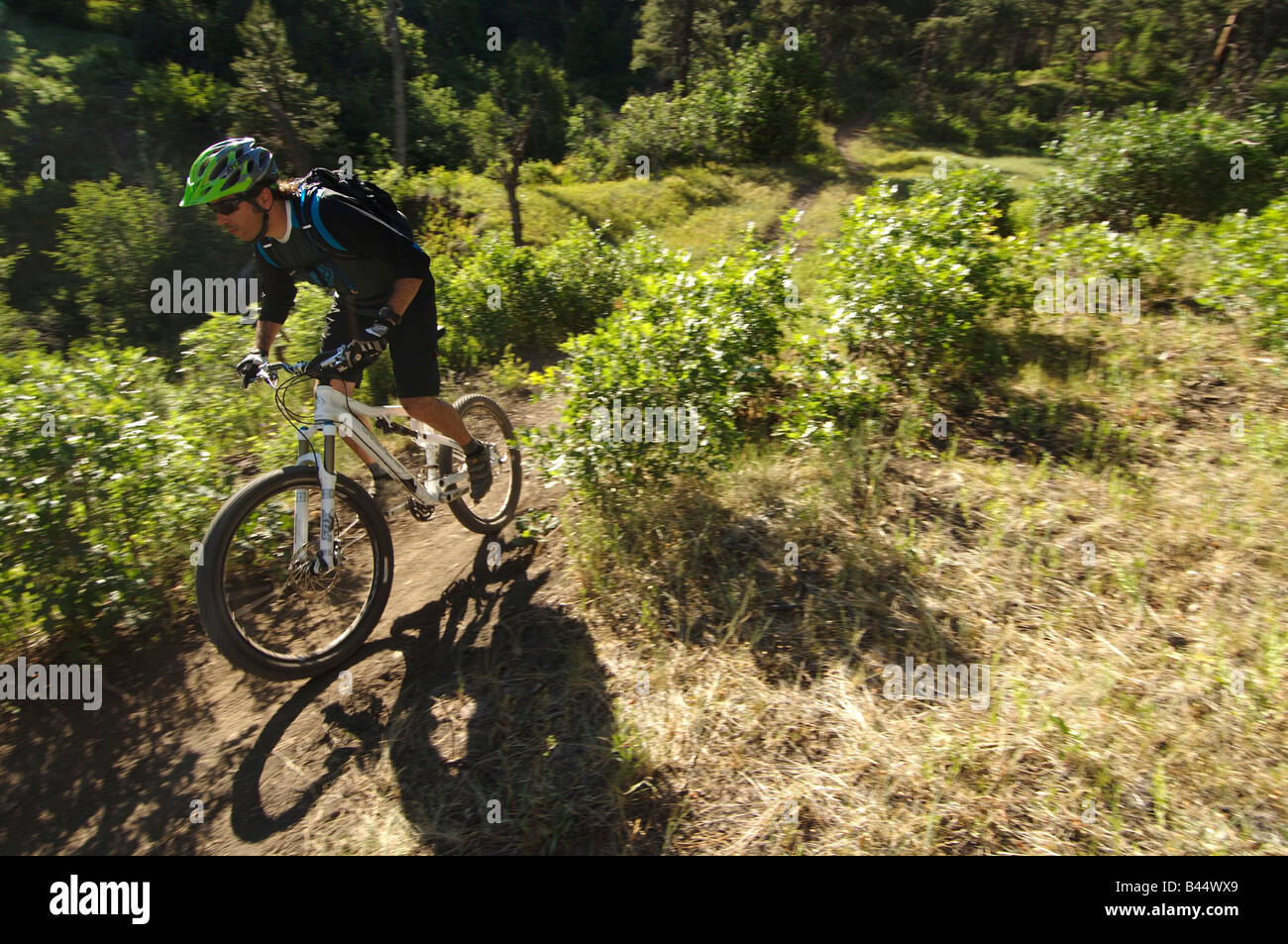 Mountain biking in Durango, Colorado,USA Stock Photo Alamy