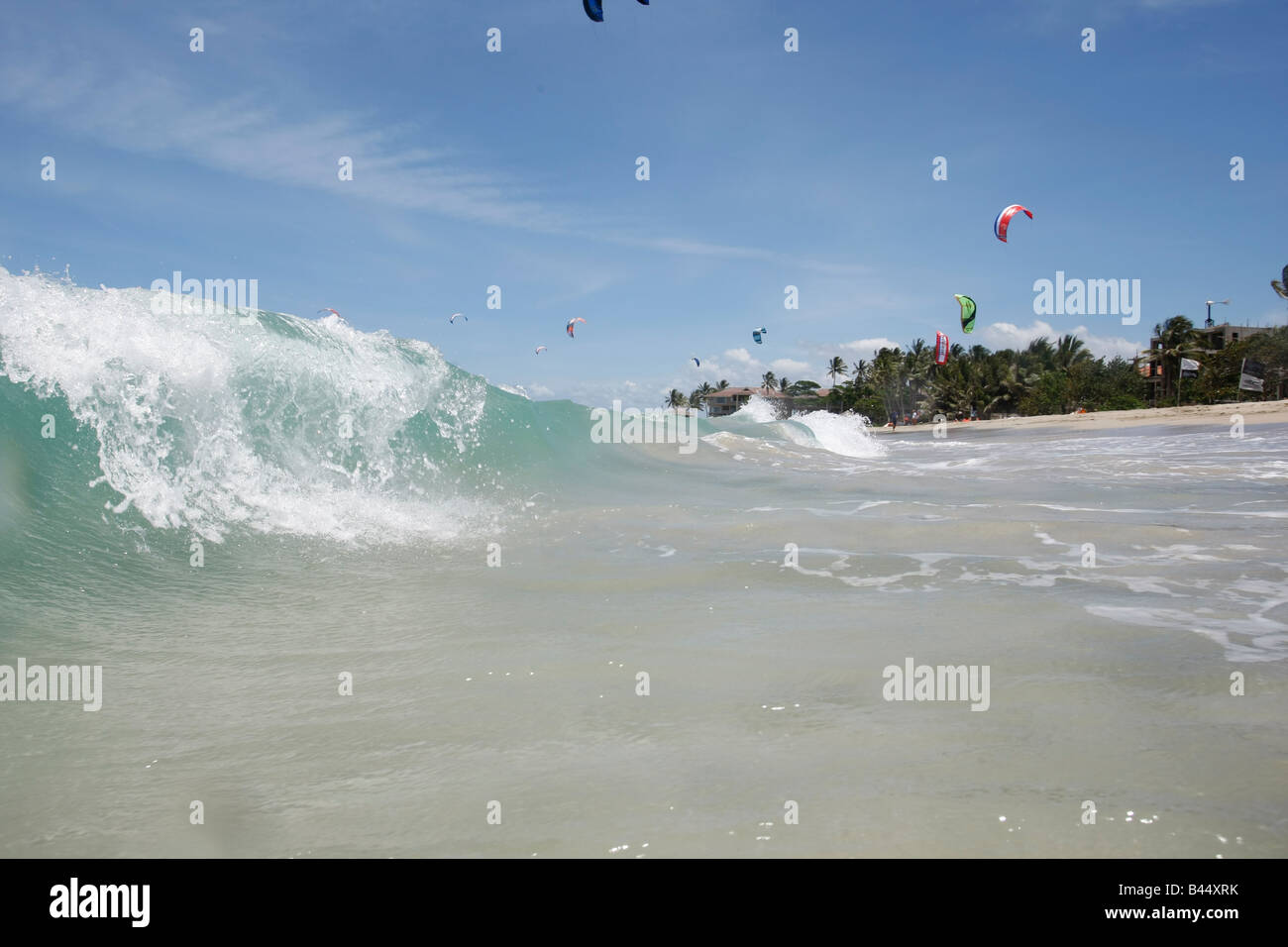 kite boarding at kite beach in the Dominican Republic Stock Photo Alamy