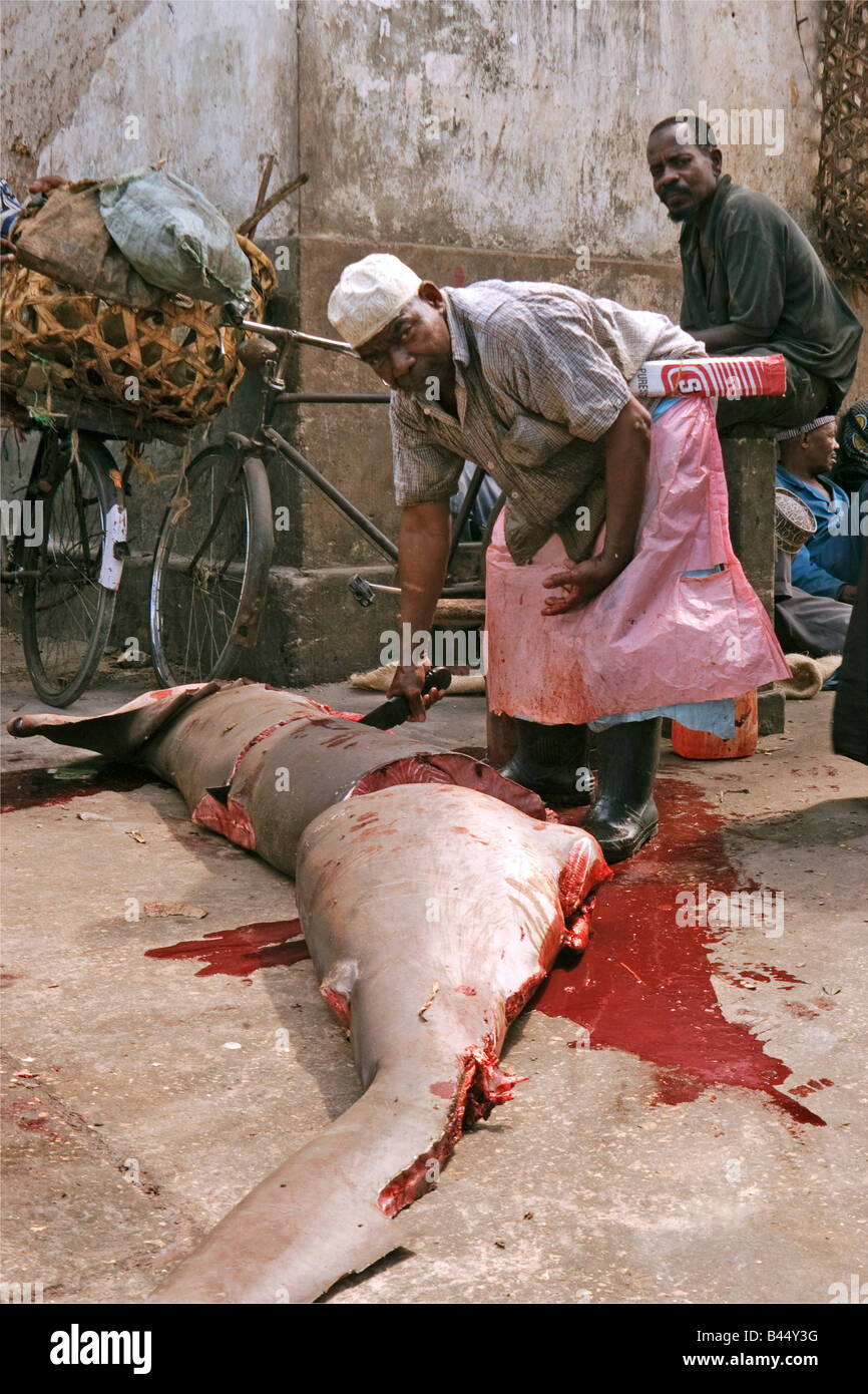 Great hammerhead shark Sphyrna mokarran butchered in the market of Stone Town, Zanzibar, Tanzania Stock Photo