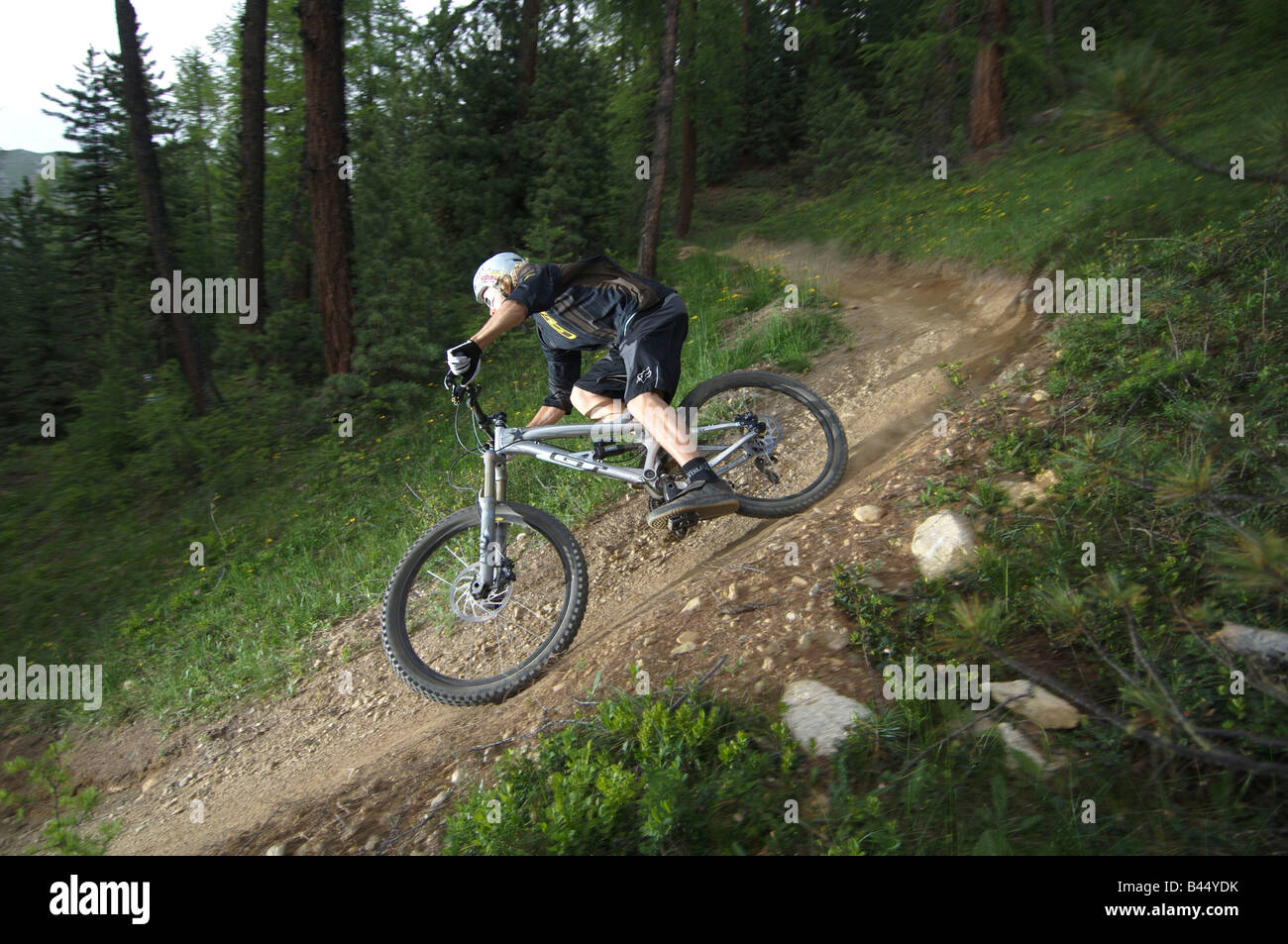 Mountain biking above Livigno in the Italian Alps Stock Photo - Alamy