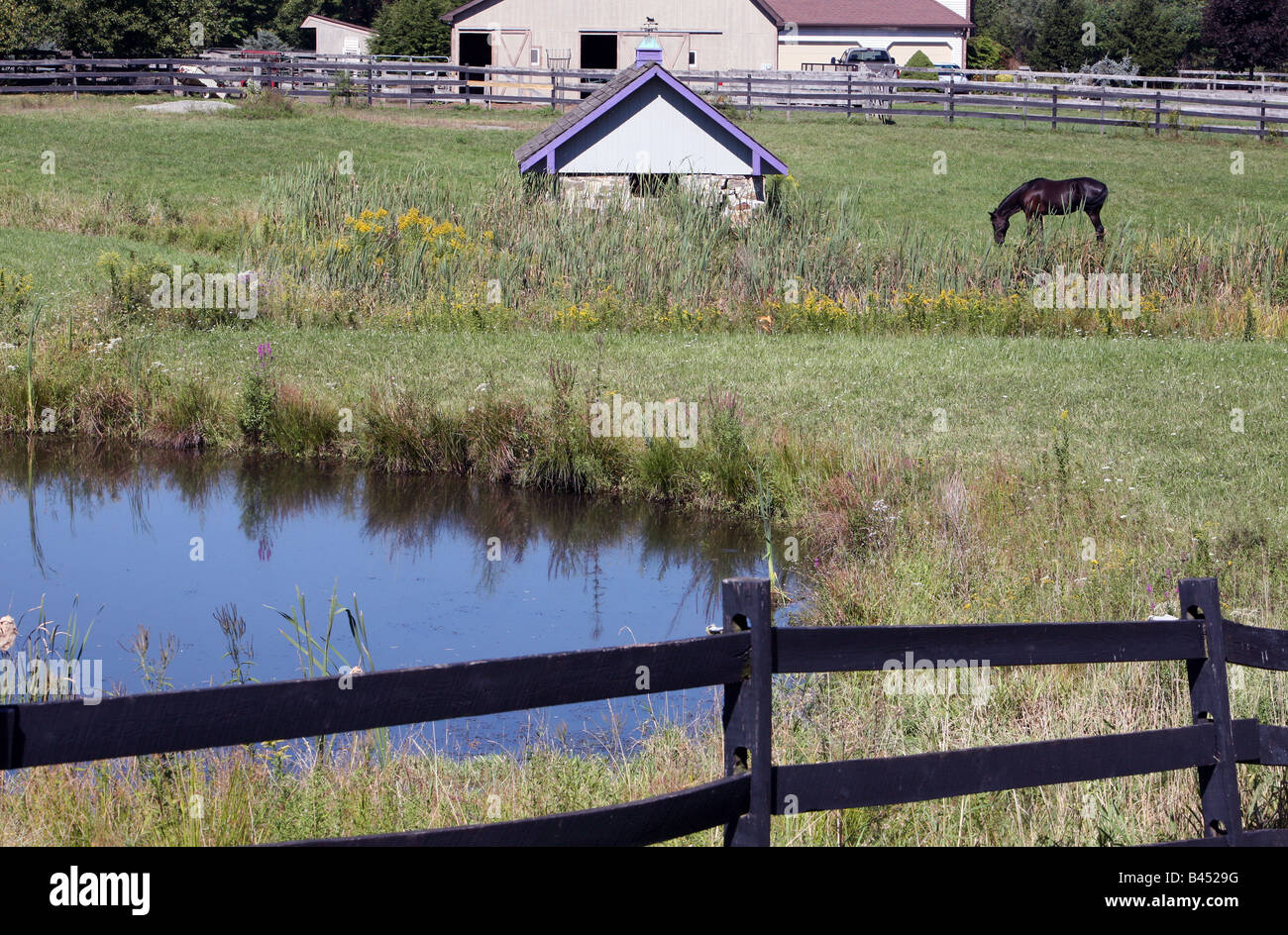 A New Jersey horse farm. Field, pond and fence with an outbuilding in