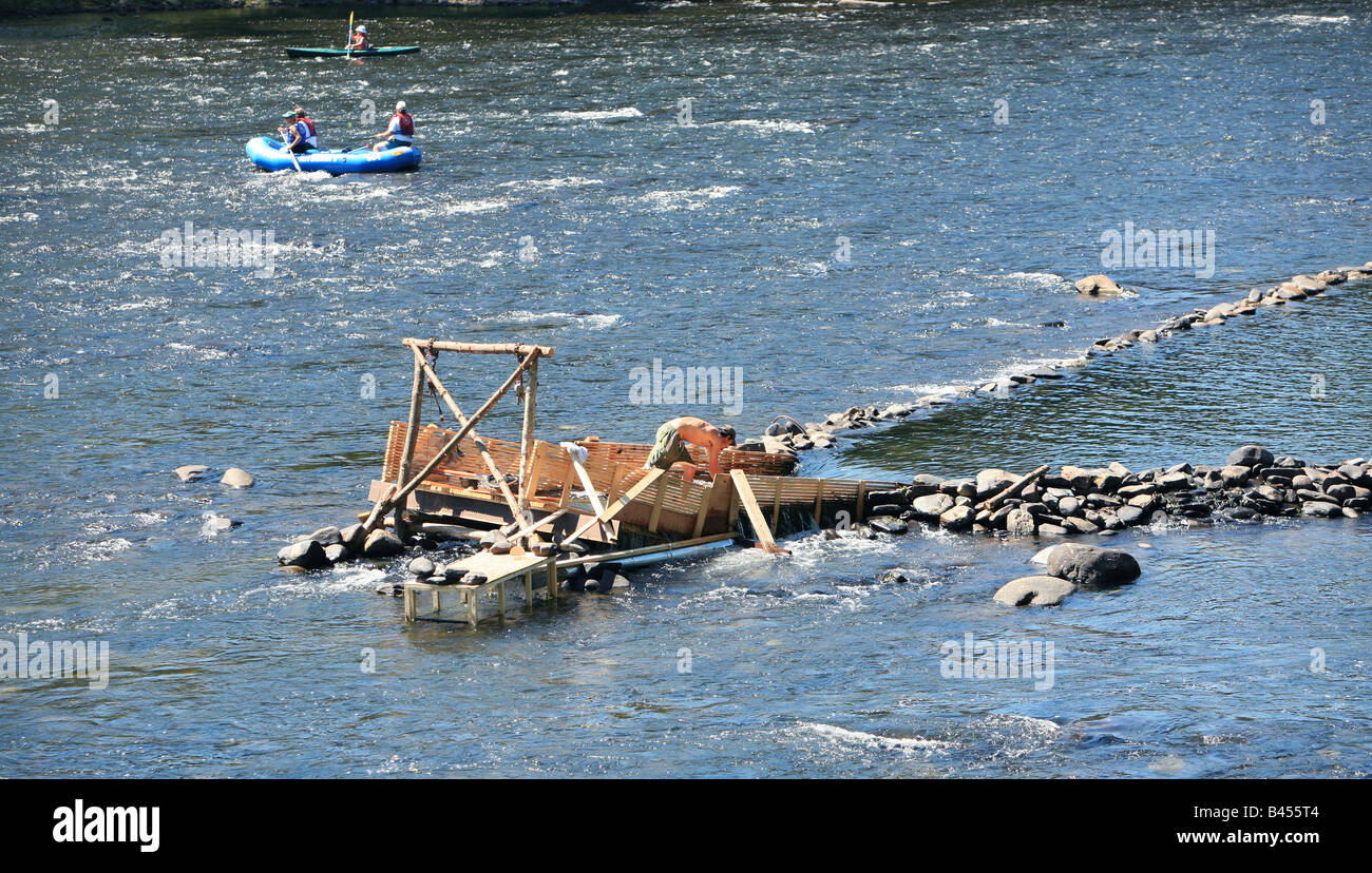 An eel weir on the Delaware River between Pennsylvania An eel man is